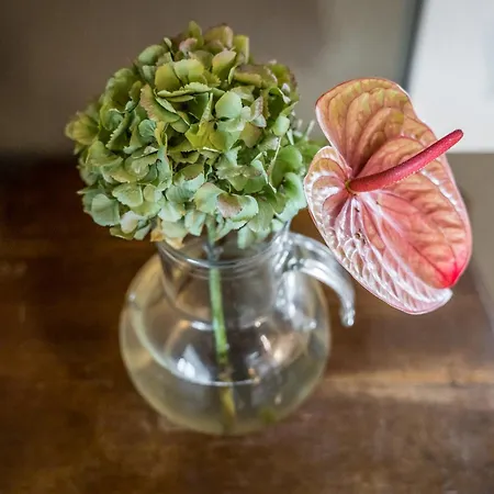 La Casa Di Valeria - Модена