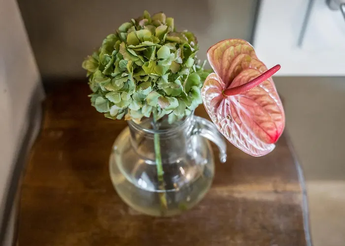 La Casa Di Valeria - Modena